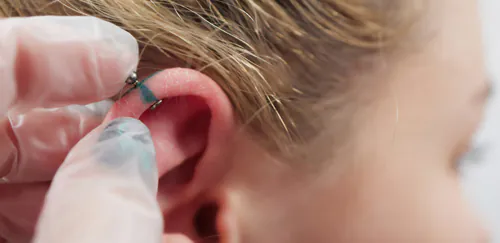 White gloved fingers are holding an ear with a helix piercing and piercing markings