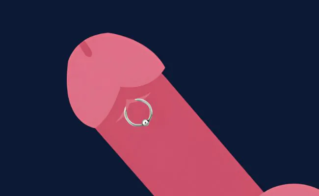 An illustration showing the position of a Frenulum Piercing on the male organ