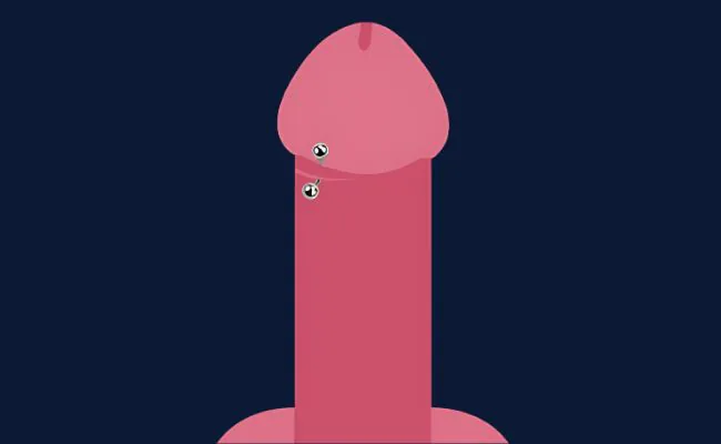 An illustration showing the position of a Dydoe Piercing on the male organ