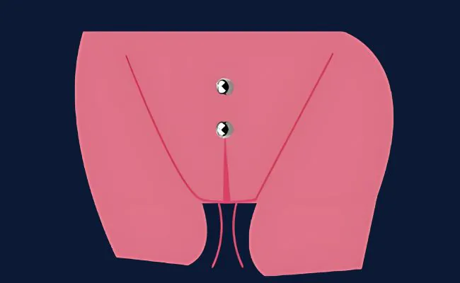 An illustration showing the position of a Christina piercing