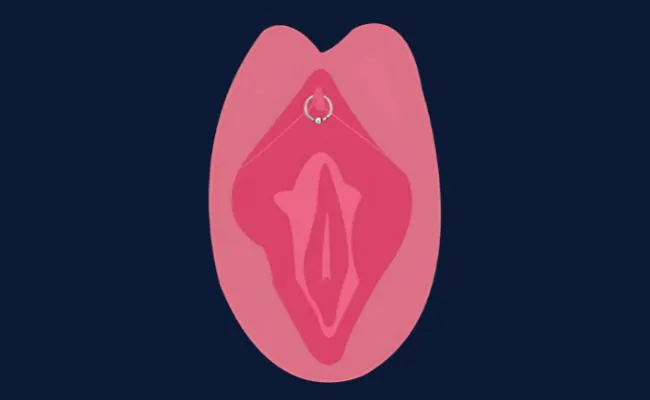 An illustration showing the position of a Clitoral Hood Piercing