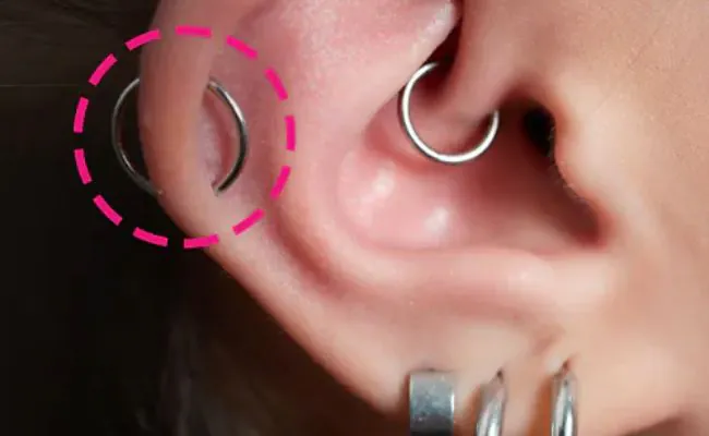 Closeup of an ear adorned with different types of ear piercings including an orbital piercing