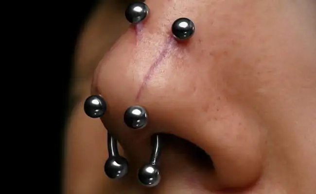 Closeup of a nose featuring two rhino piercings